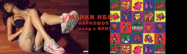 стаф Алзамай