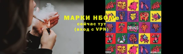 стаф Алзамай