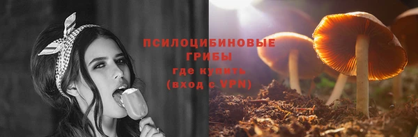 амф Алексин