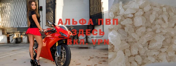 стаф Алзамай