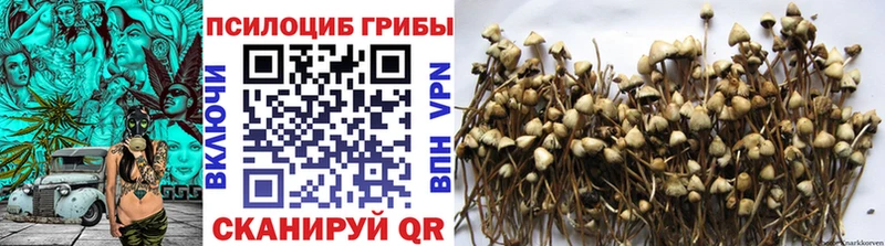 Псилоцибиновые грибы Psilocybine cubensis  Кыштым 